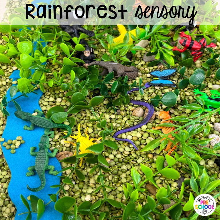 90 Sensory Table Ideas for the Year 76 Rainforest sensory! Sensory table ideas for the whole year! There are ideas for so many popular early childhood themes, food & nonfood filler ideas, and lots of props and treasures to use with preschool, pre-k, and kindergarten students!