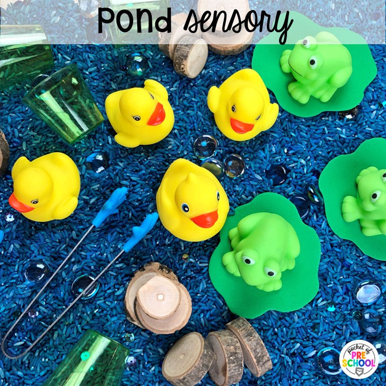 90 Sensory Table Ideas for the Year 55 Pond sensory! Sensory table ideas for the whole year! There are ideas for so many popular early childhood themes, food & nonfood filler ideas, and lots of props and treasures to use with preschool, pre-k, and kindergarten students!