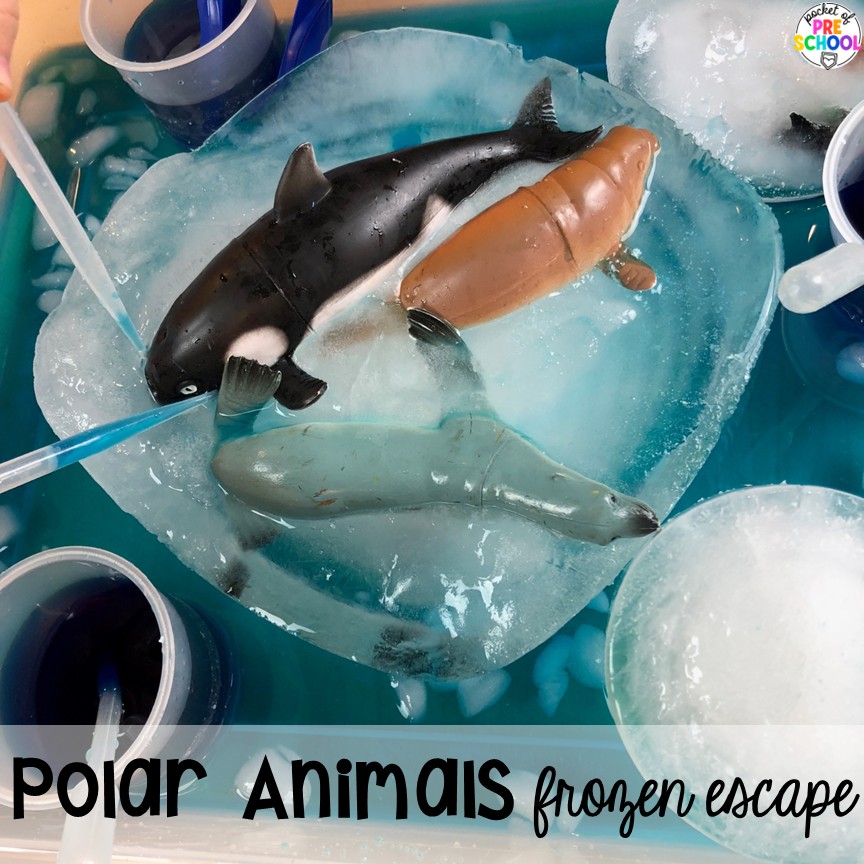 All About Frozen Escapes For Sensory Play For Preschool, Pre-K, & Kindergarten 6 Polar animals escape! Frozen escapes are a wonderful sensory option for students to practice literacy, math, or science skills. Freeze some manipulatives and let your preschool, pre-k, or kindergarten students explore!