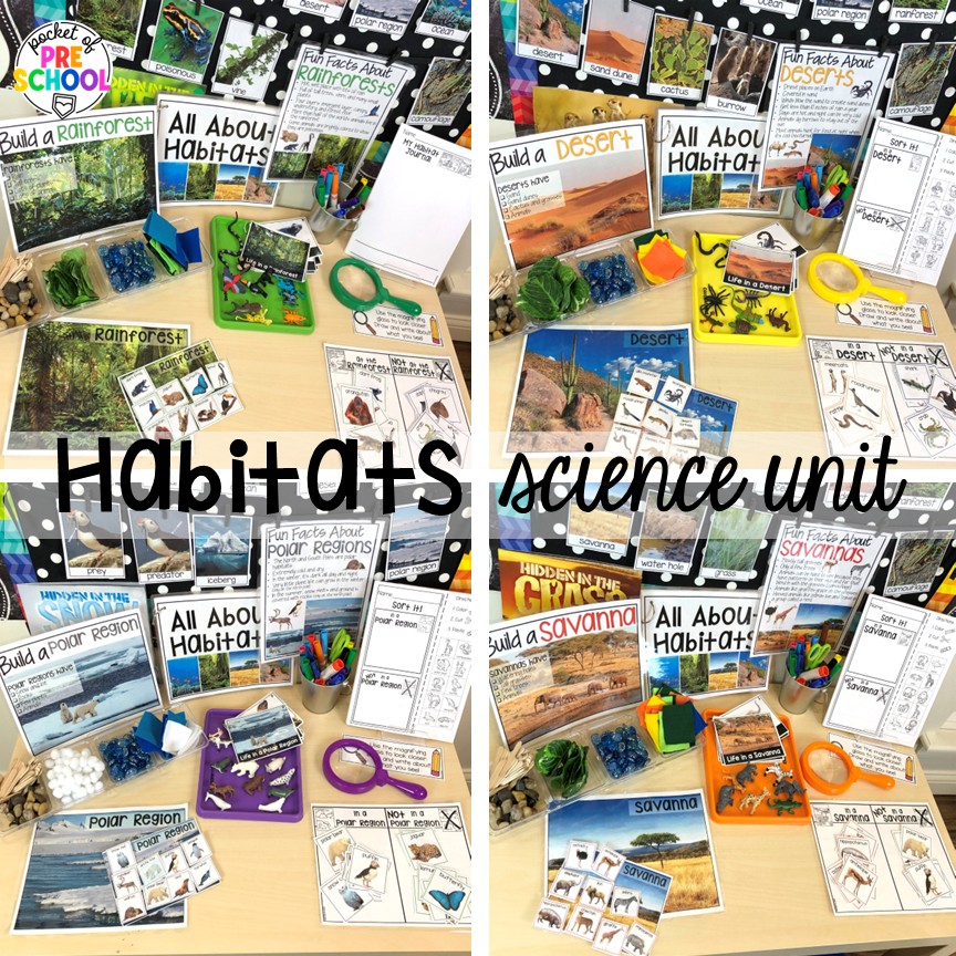 Habitats Science Unit! Zoo centers & activities for math, literacy, science, fine motor, sensory, art, & more! These zoo activities are designed for preschool, pre-k, and kindergarten.