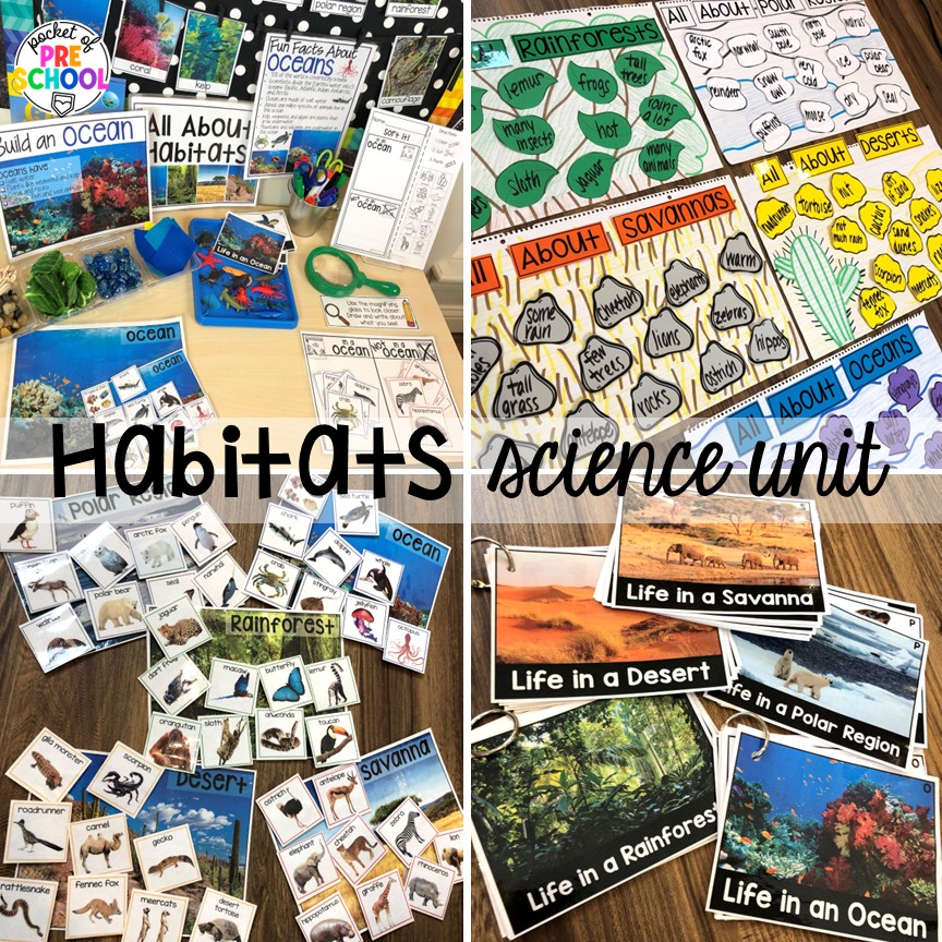 Habitats Science Unit! Zoo centers & activities for math, literacy, science, fine motor, sensory, art, & more! These zoo activities are designed for preschool, pre-k, and kindergarten.