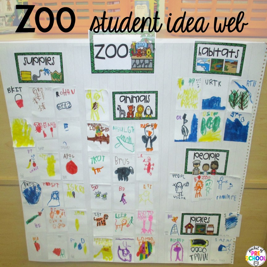 Zoo student idea web! Try a zoo dramatic play area so your preschool, pre-k, or kindergarten students can visit the animal exhibits, shop at the snack shack, and be the zookeepers.