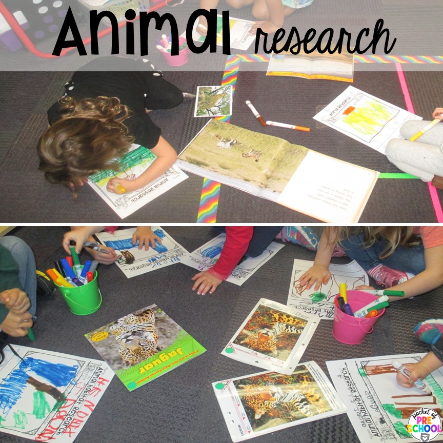 Animal research! Try a zoo dramatic play area so your preschool, pre-k, or kindergarten students can visit the animal exhibits, shop at the snack shack, and be the zookeepers.