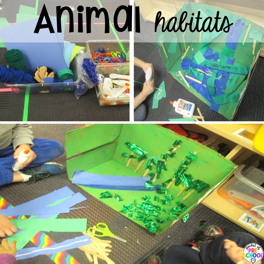 Animal habitats! Try a zoo dramatic play area so your preschool, pre-k, or kindergarten students can visit the animal exhibits, shop at the snack shack, and be the zookeepers.