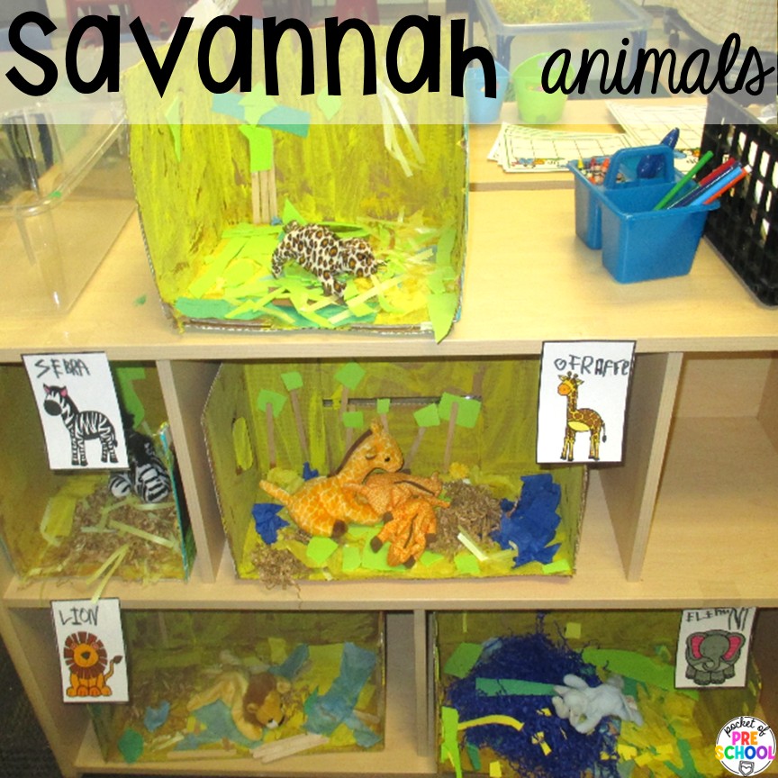 Savannah animals! Try a zoo dramatic play area so your preschool, pre-k, or kindergarten students can visit the animal exhibits, shop at the snack shack, and be the zookeepers.