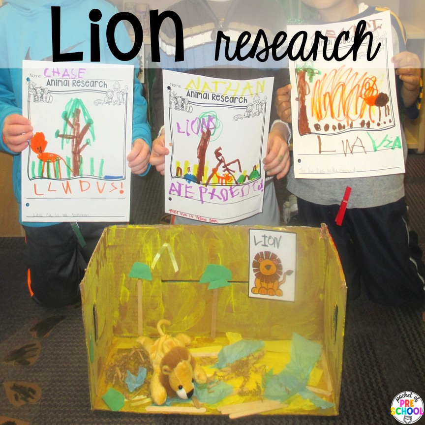 Lion research! Try a zoo dramatic play area so your preschool, pre-k, or kindergarten students can visit the animal exhibits, shop at the snack shack, and be the zookeepers.